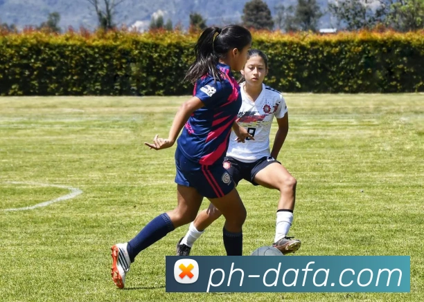 大发彩票品牌故事